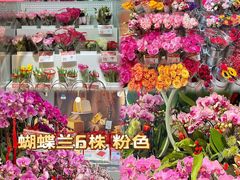 -盒马鲜生(莱蒙都会店)