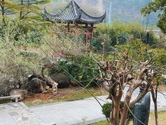 -广州神农草堂中医药博物馆