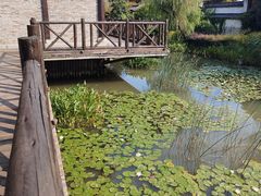 -茅山东方盐湖城景区