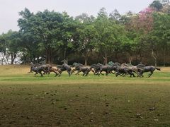 -广州雕塑公园
