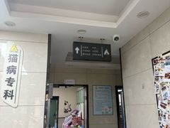 -半岛宠物医院24小时(白果林店)