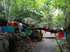 -七仙岭温泉国家森林公园