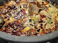 -秦巴石锅鱼(文化南路店)