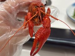 -五七小李子油焖大虾(总店)