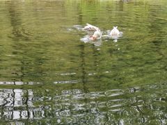 -鹿亭中村