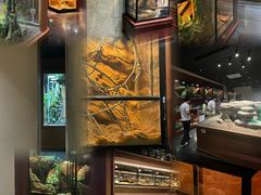 -帕帕拉兹宠物(亚洲旗舰店)