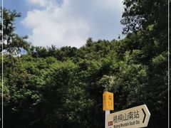 -梧桐山风景名胜区