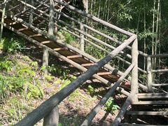 -东天目山风景区