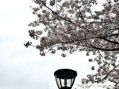 -浙江大学(玉泉校区)