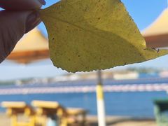 -呼兰河口湿地公园