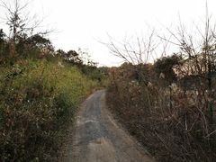 -南京市无想山景区