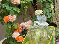 -StrasBake日式面包