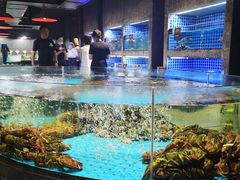 水产区-徐记海鲜(梅溪新天地店)