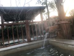 -思念果岭悦温泉