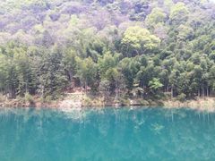 android_upload_pic-祁门牯牛降观音堂风景区