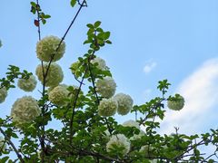 -大龙山(地铁站)