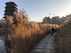 -西安汉城湖景区