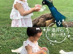 -秀丽东方