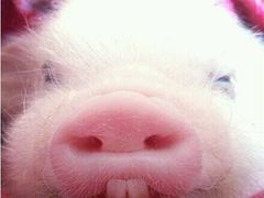 -密友回转自助火锅(世茂国际广场店)