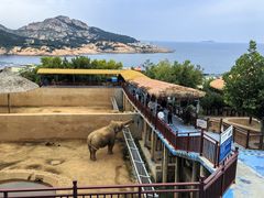 -西霞口神雕山野生动物世界