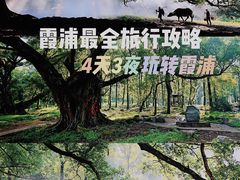 -北岐滩涂
