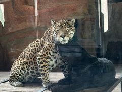 -鄂尔多斯野生动物园