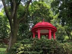 -南山植物园