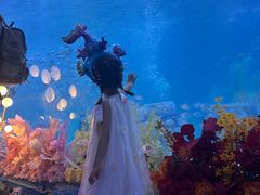 -海合安成都极地海洋公园