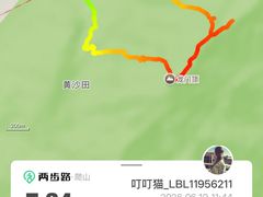 -羚羊峡古栈道森林公园