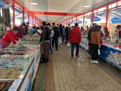 -大湾区中央湿地公园-十九涌
