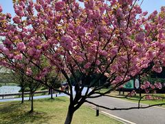 -宜兴龙背山森林公园