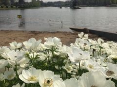 -上海鲜花港