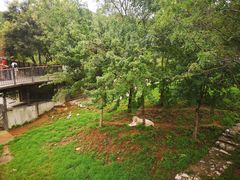 -石家庄市动物园