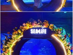 -沈阳海洋探索中心