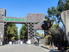 -溱湖国家湿地公园