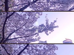 -徐家汇公园