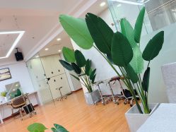 -D.z Salon 无痕接发潮店