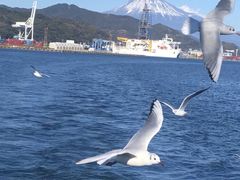 -富士山吉田線五合目