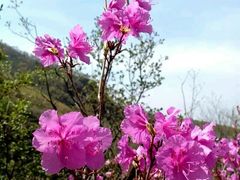 -白草畔自然风景区