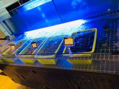 水产区-万豪咖啡厅