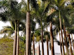 -广州雕塑公园