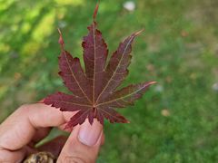 -长春公园(普阳街道)