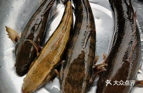 Special River Delicacies