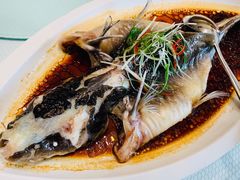 清蒸鲈鱼-香丰阁·烤鸭·川湘菜(清河店)
