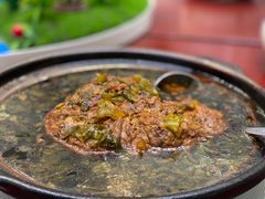 -丁老爷子苏香圆