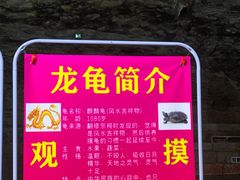 -龙宫洞风景区