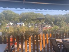 -丫丫蟹庄·苏式园林农家乐·阳澄湖大闸蟹(阳澄湖莲花岛店)