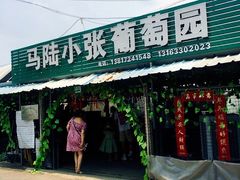 -马陆小张葡萄园农家乐