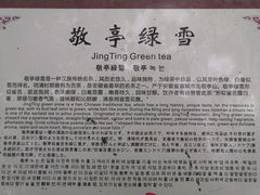 -敬亭山风景名胜区