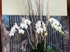 -上海明天广场JW万豪酒店